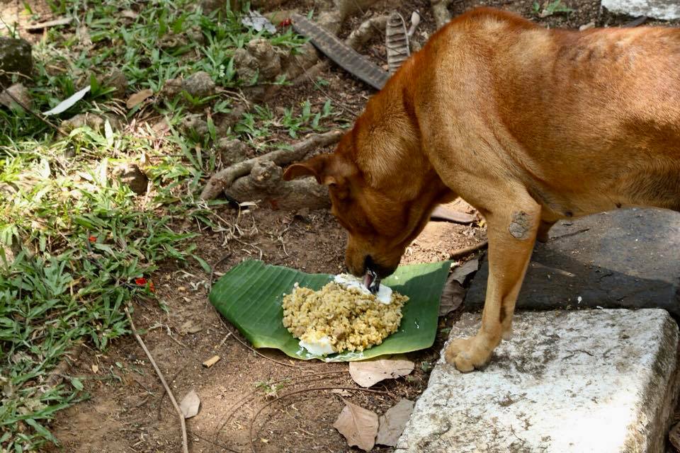 26112044_10155324784132183_4587285804024615555_n