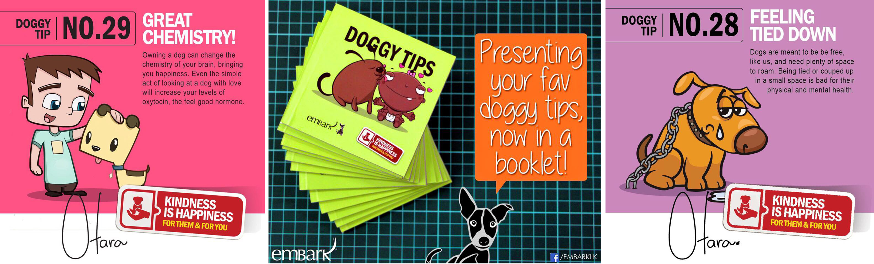 Otara Doggy Tips