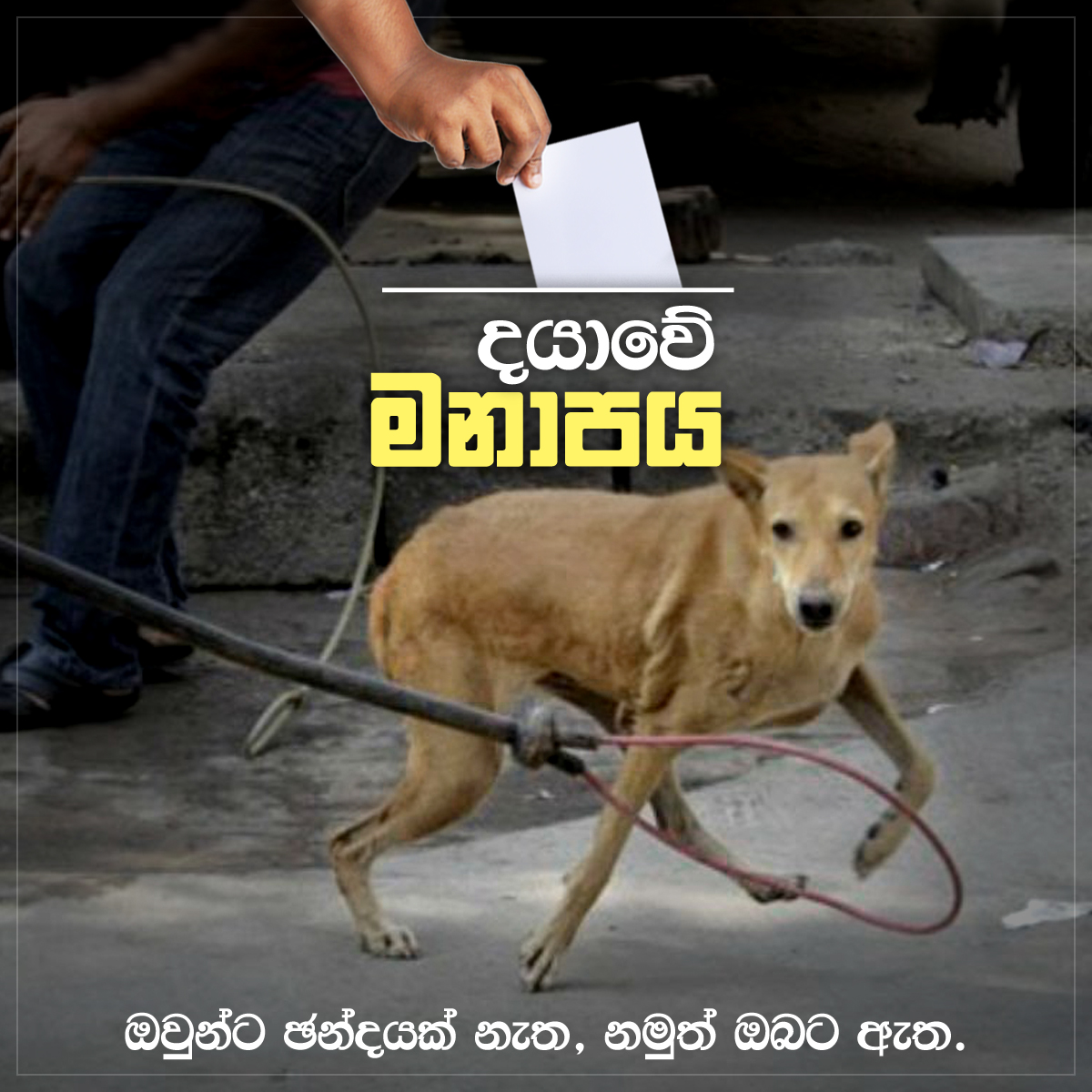 post-sinhala-set-2