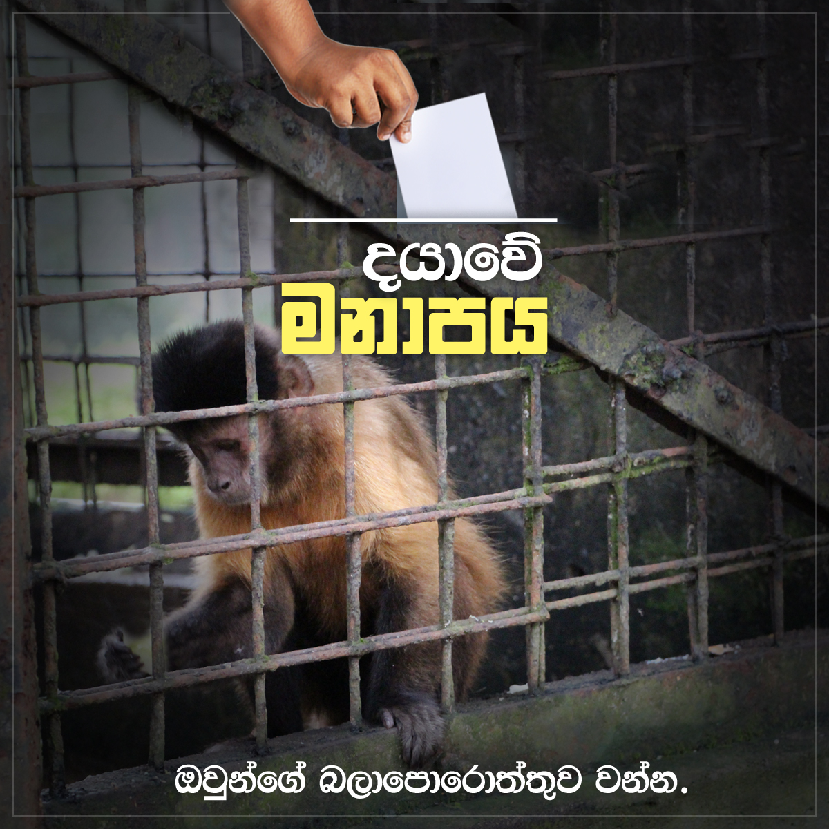 post-sinhala-set-4