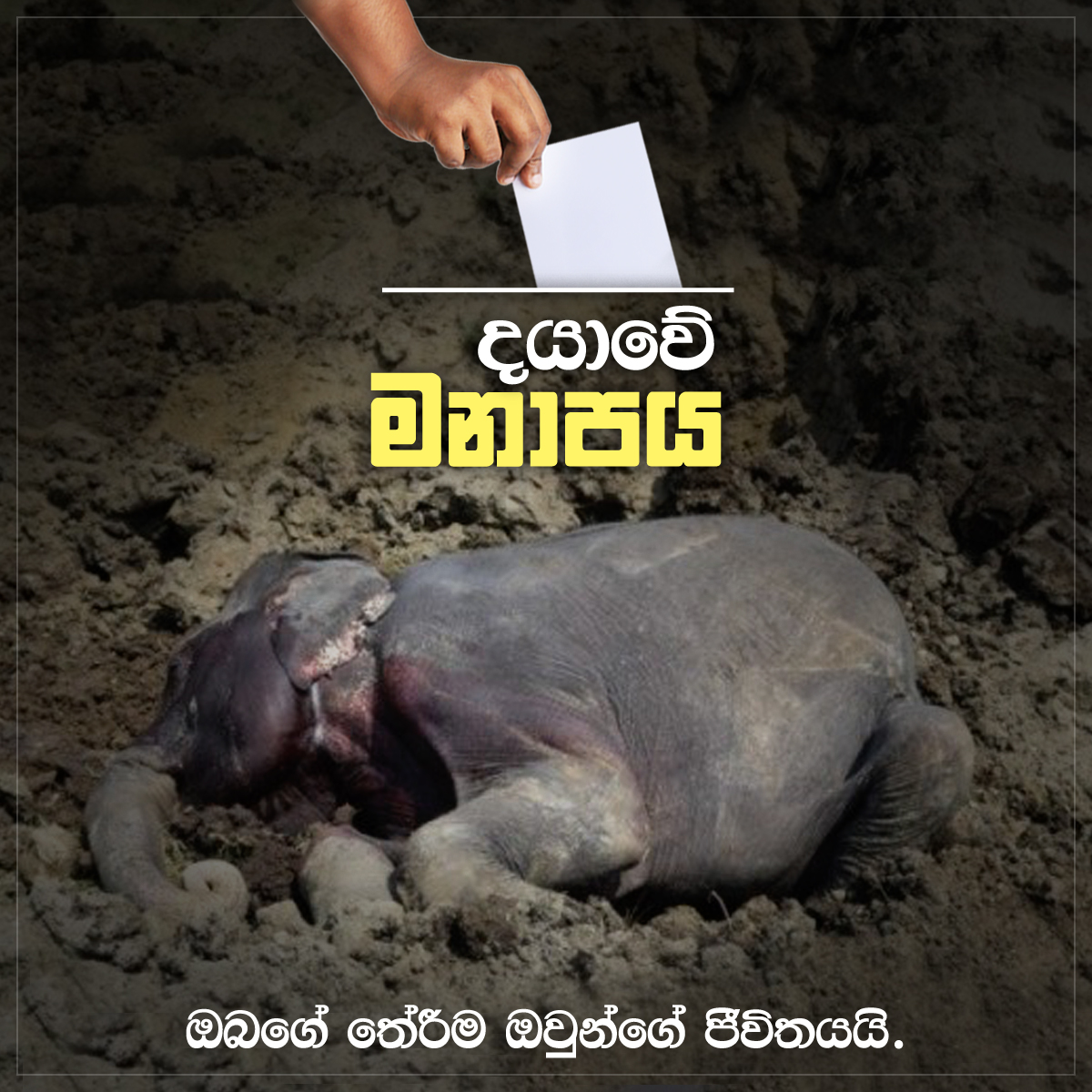 post-sinhala-set-5